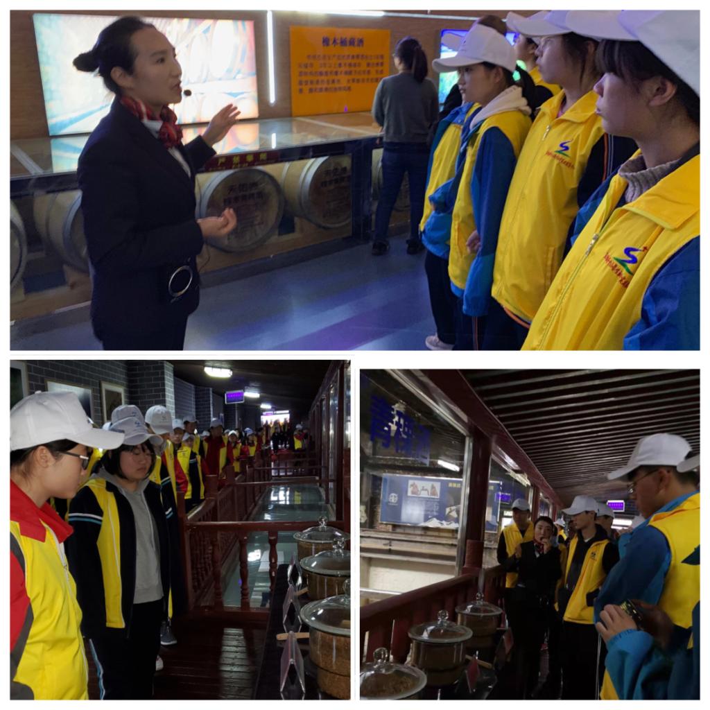 电子pg下载入口