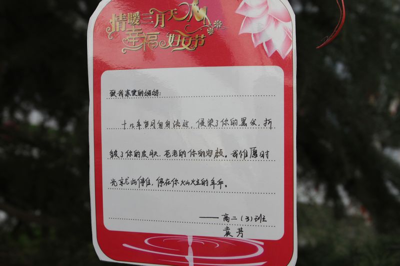 电子pg下载入口