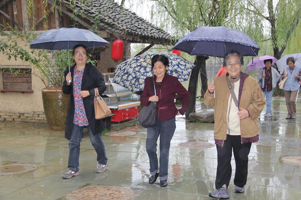 电子pg下载入口