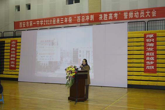 电子pg下载入口