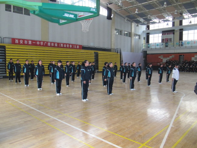 电子pg下载入口