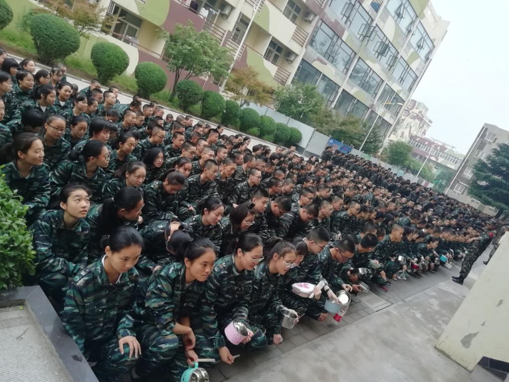 电子pg下载入口