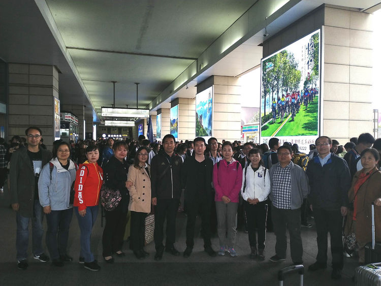 电子pg下载入口