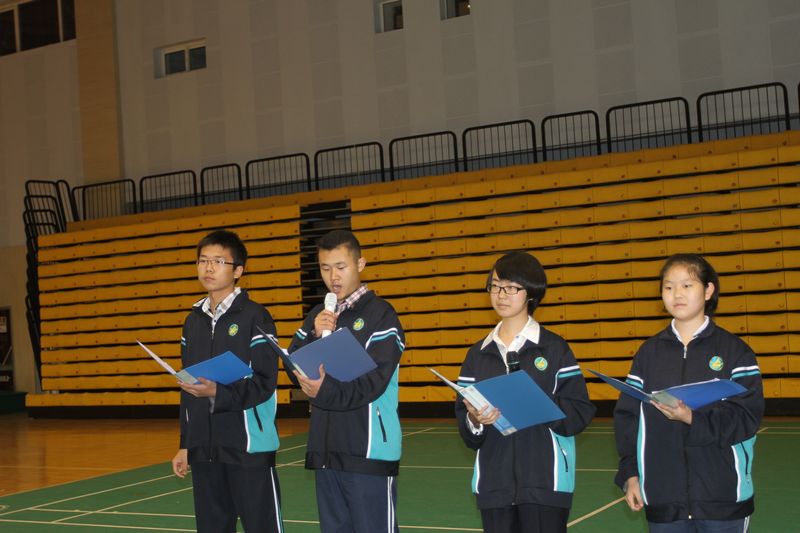 电子pg下载入口