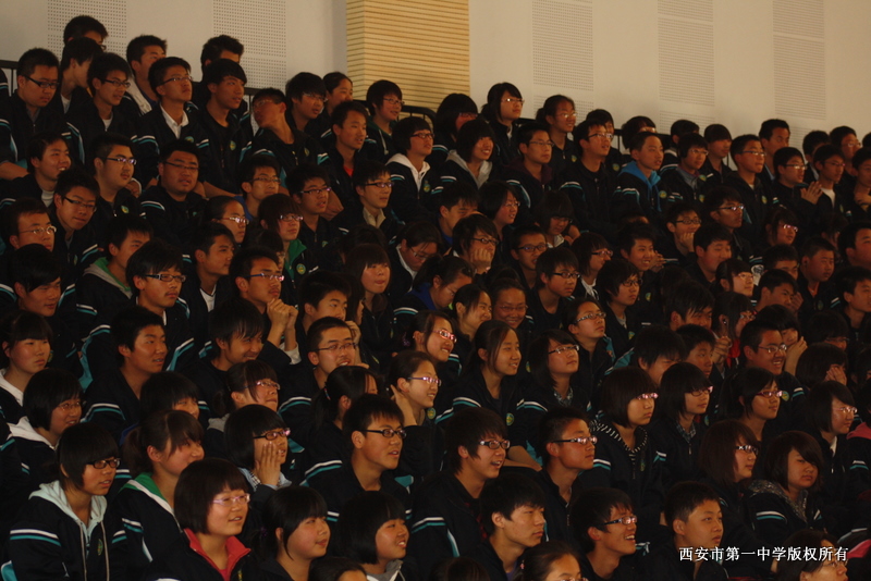 电子pg下载入口