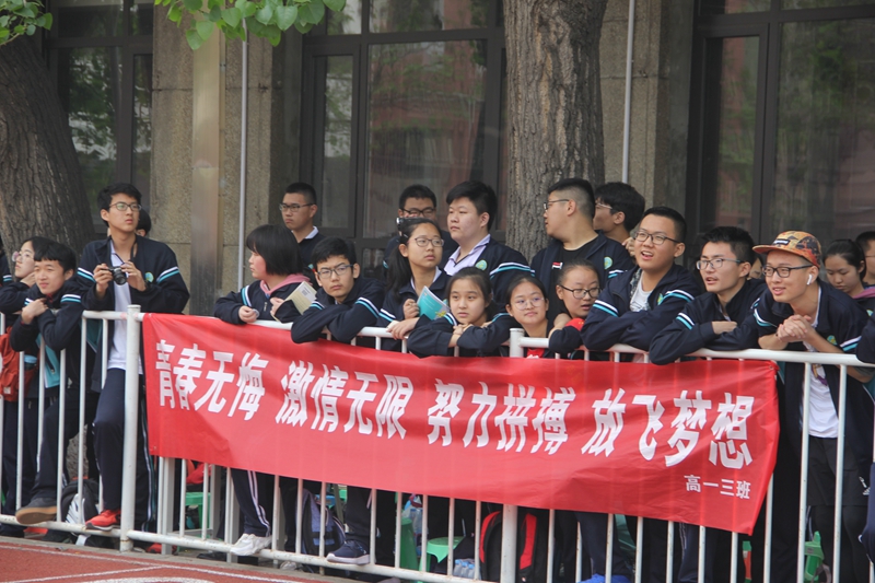 电子pg下载入口