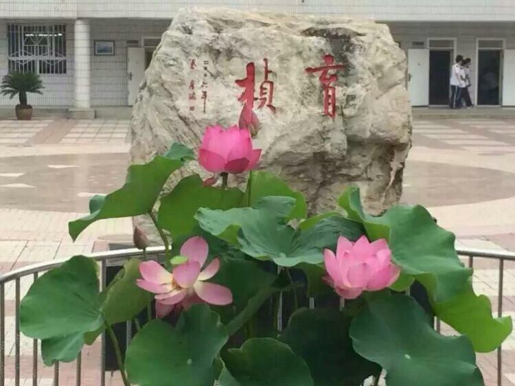 电子pg下载入口