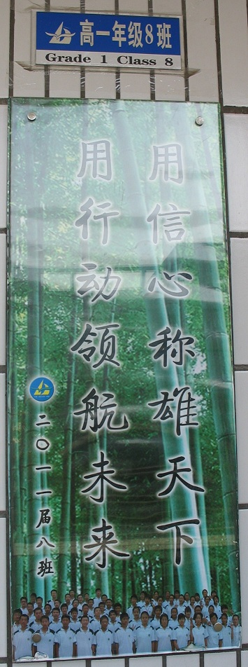 电子pg下载入口