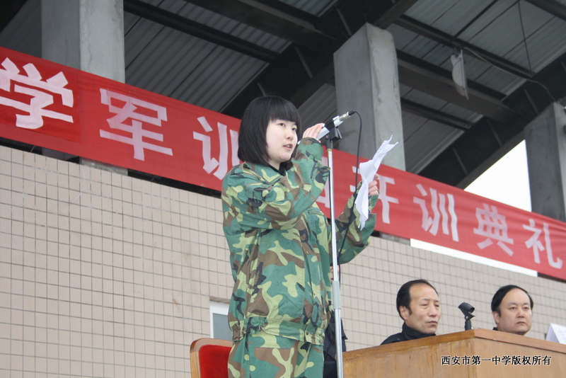 电子pg下载入口