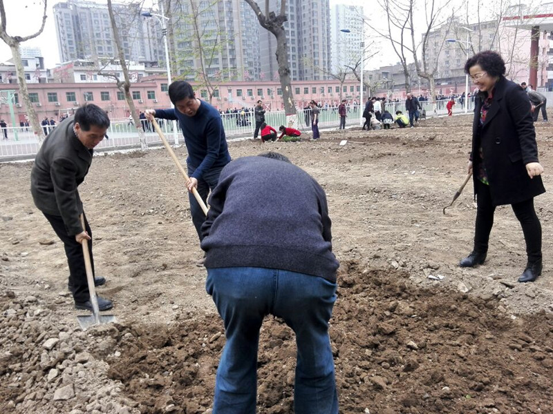 电子pg下载入口