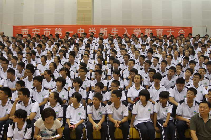 电子pg下载入口