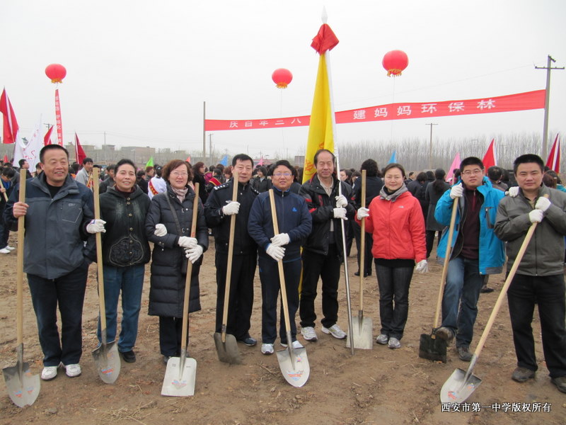 电子pg下载入口