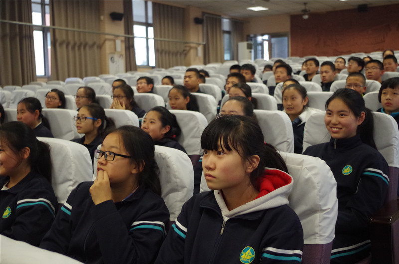 电子pg下载入口