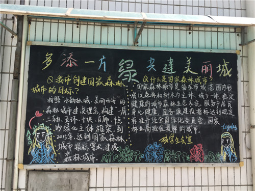 电子pg下载入口