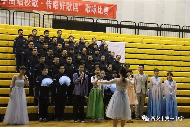 电子pg下载入口