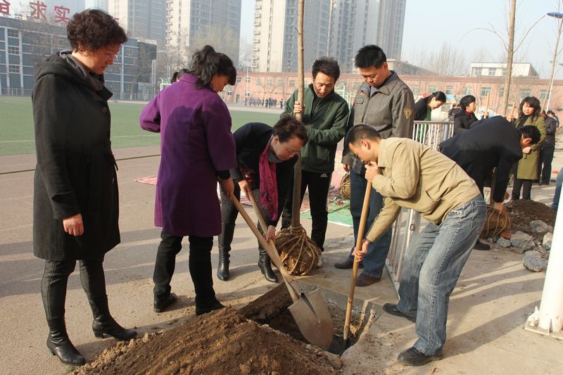 电子pg下载入口