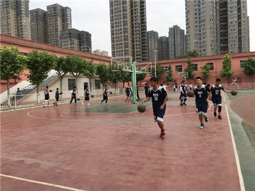 电子pg下载入口