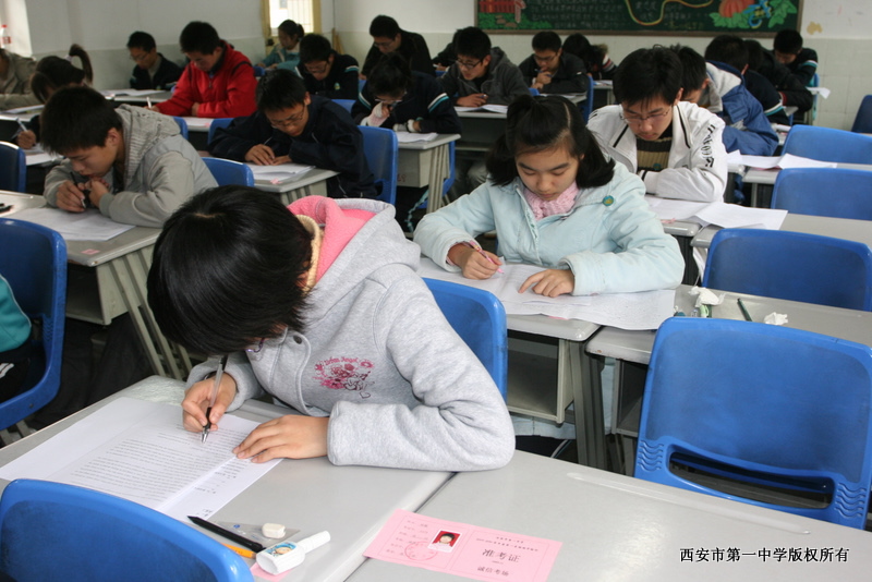 电子pg下载入口