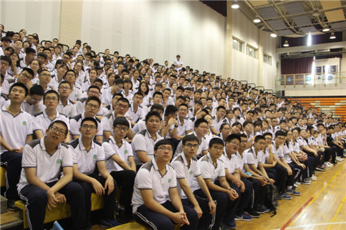 电子pg下载入口