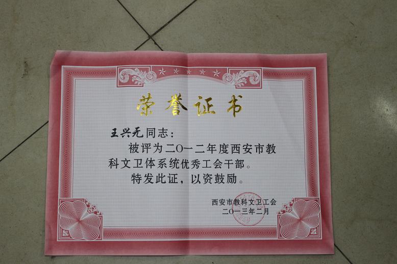 电子pg下载入口