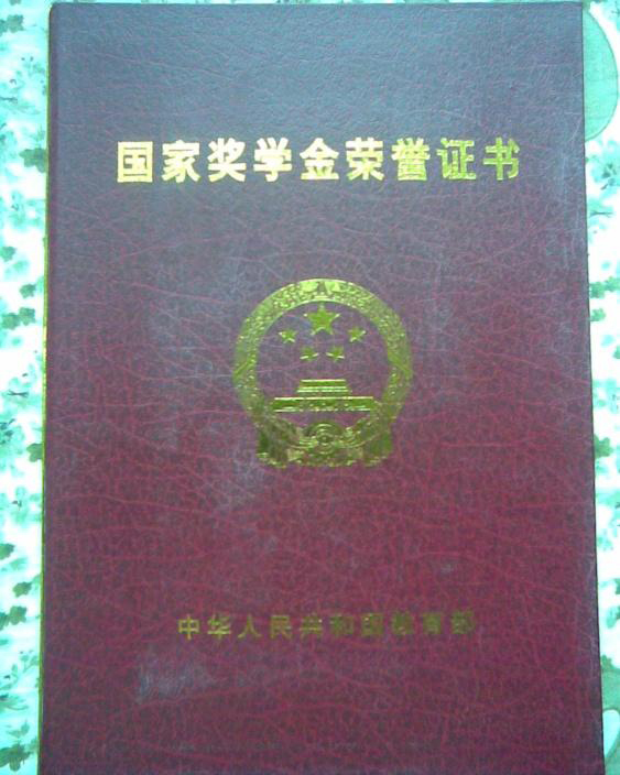 电子pg下载入口