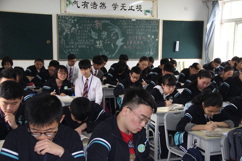 电子pg下载入口