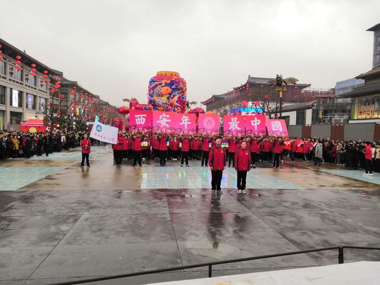 电子pg下载入口