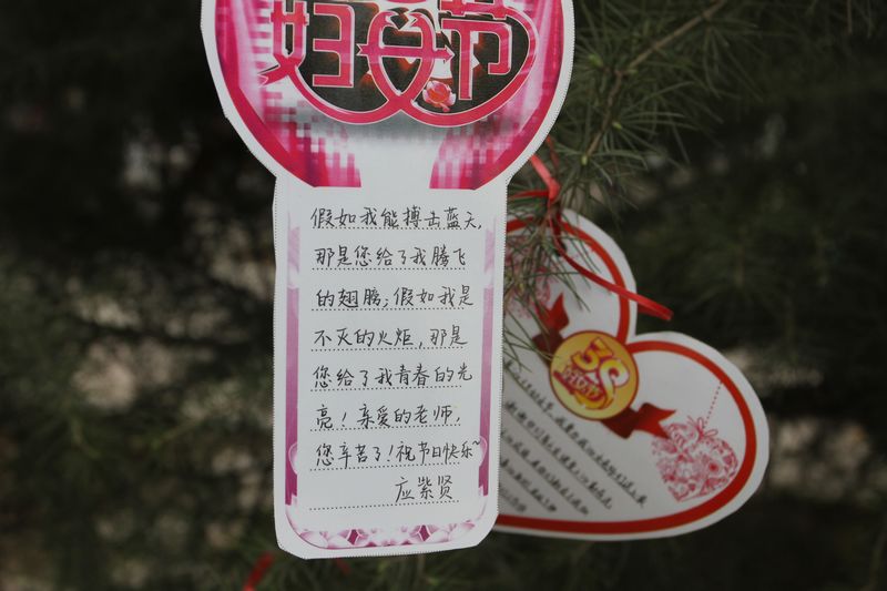 电子pg下载入口