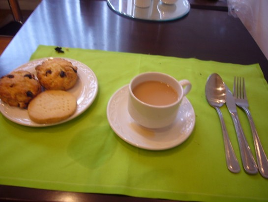 电子pg下载入口