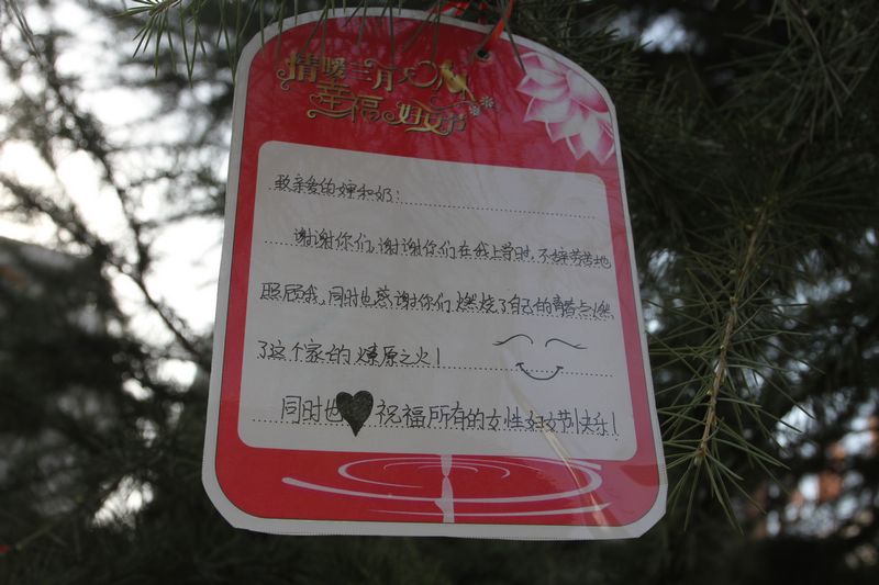 电子pg下载入口