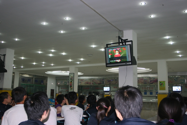 电子pg下载入口