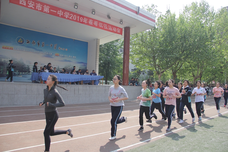 电子pg下载入口