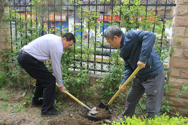 电子pg下载入口