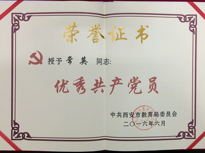 电子pg下载入口