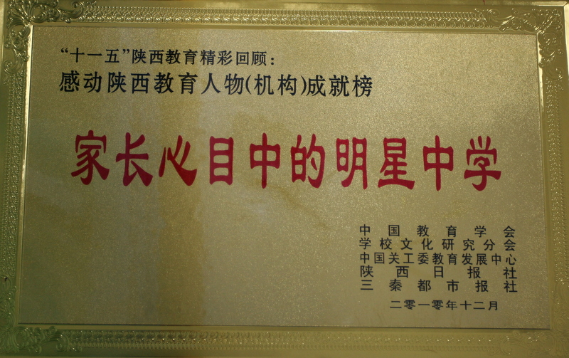 电子pg下载入口