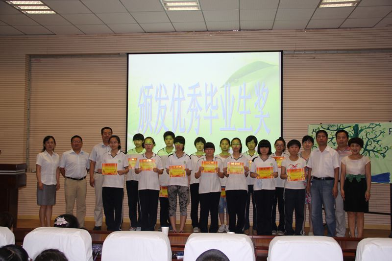 电子pg下载入口