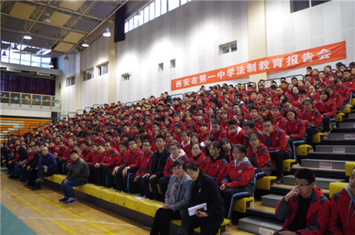 电子pg下载入口