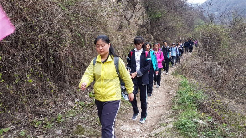 电子pg下载入口