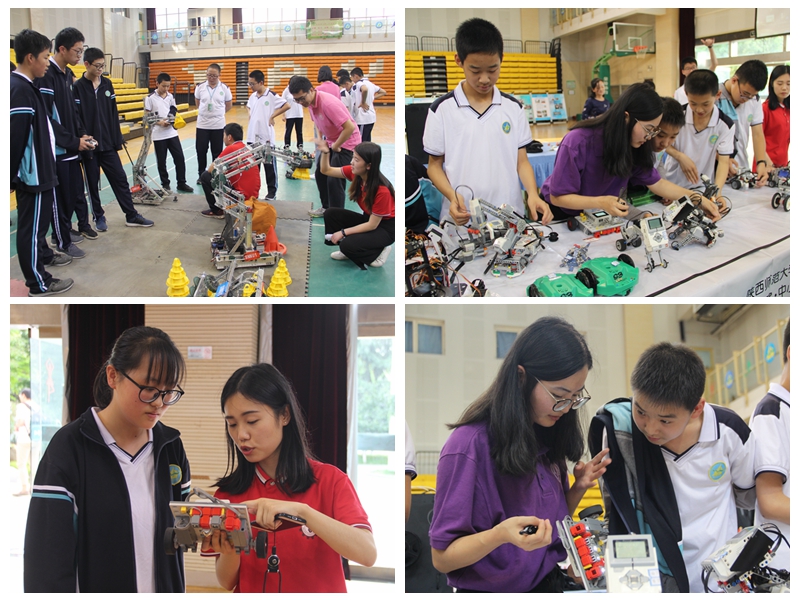 电子pg下载入口