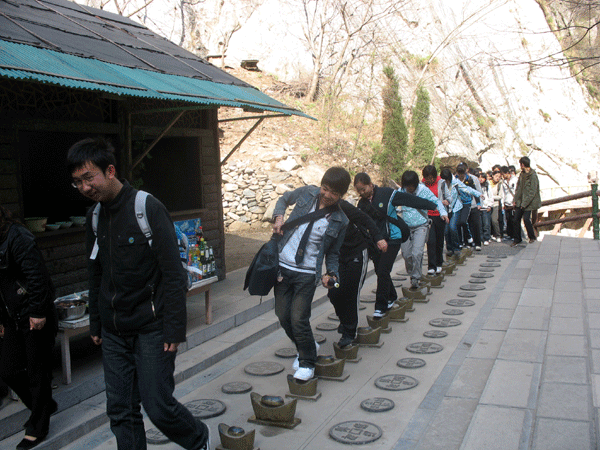 电子pg下载入口