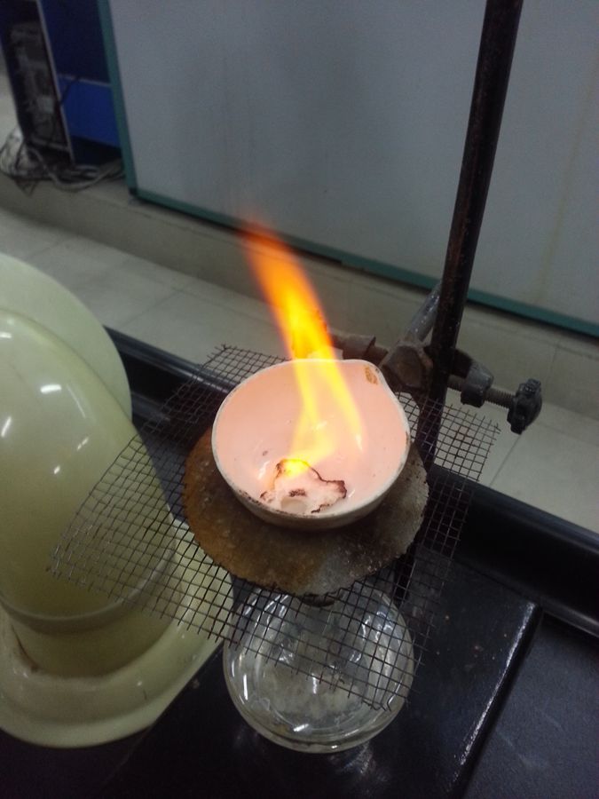 电子pg下载入口