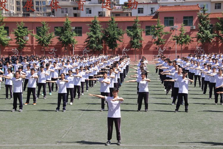 电子pg下载入口