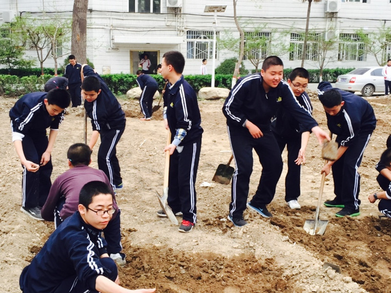 电子pg下载入口