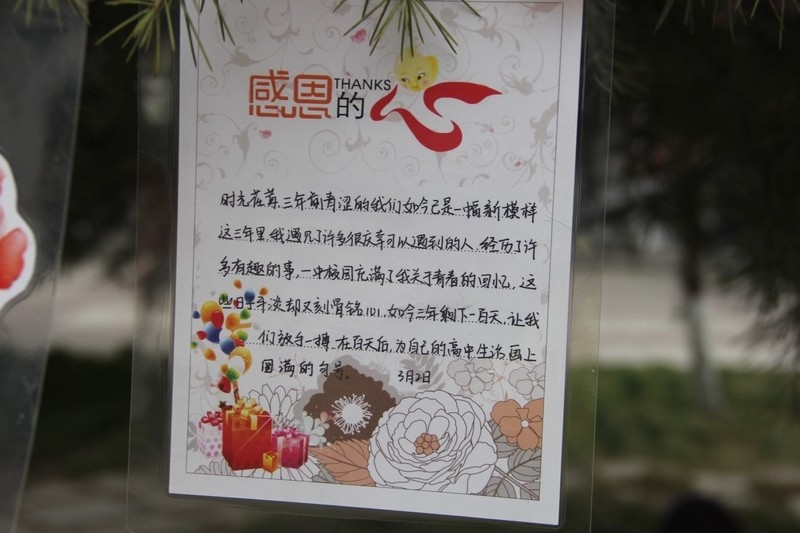 电子pg下载入口