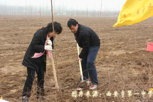 电子pg下载入口