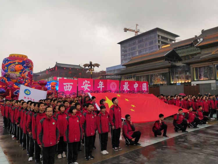 电子pg下载入口