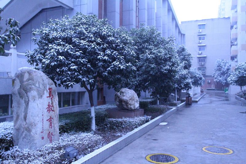 电子pg下载入口