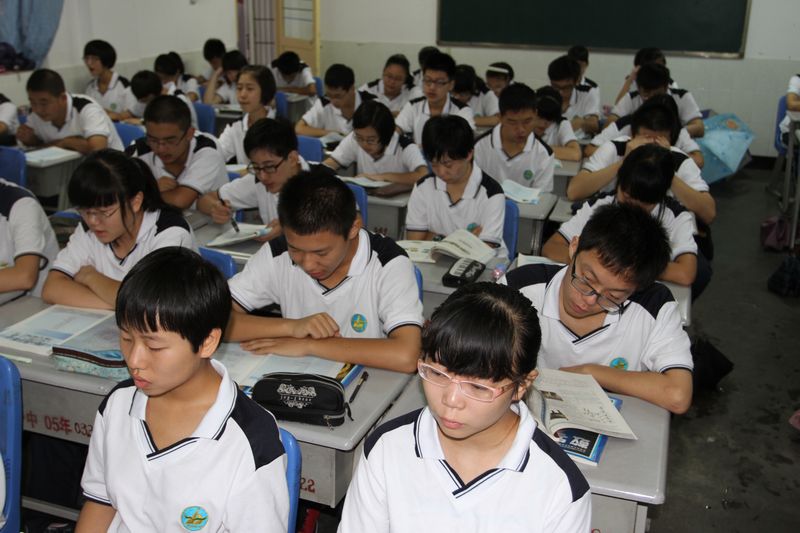 电子pg下载入口