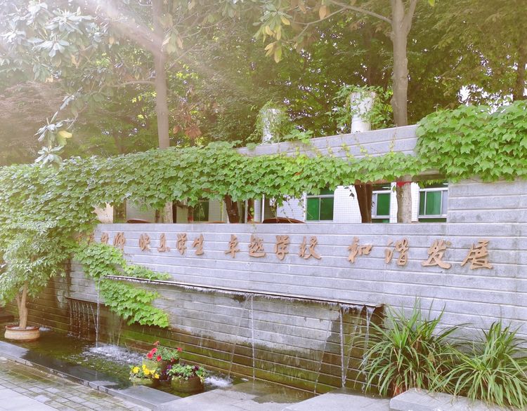 电子pg下载入口