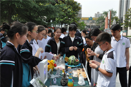 电子pg下载入口